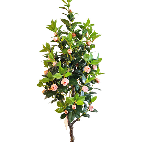 China Hotel Decoration Artificial Camellia Tree