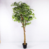 Bar Decoration Indoor Artificial Ficus Tree