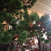 Factory Price Big Trunk Decorative Artificial Pine Trees