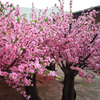 Hotel Decoration Indoor Artificial Peach Tree