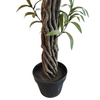 Kuwait Building Decoration Indoor Fake Olive Tree 