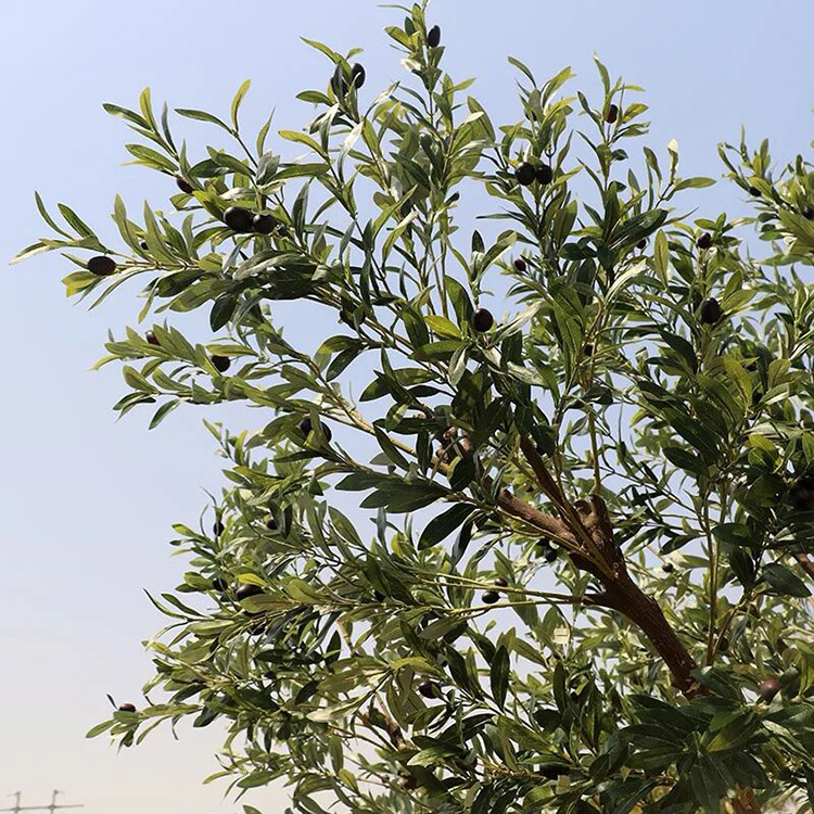 Manufacturer of China Artificial Olive Tree 
