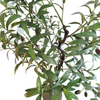 Australia Gardon Decoration Indoor Artificial Olive Tree