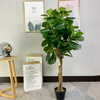 South Africa Office Decoration Indoor Artificial Fiddle Leaf Plants Tree