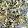 Hotel Decoration Fireproof And UV Artificial Green Wall 
