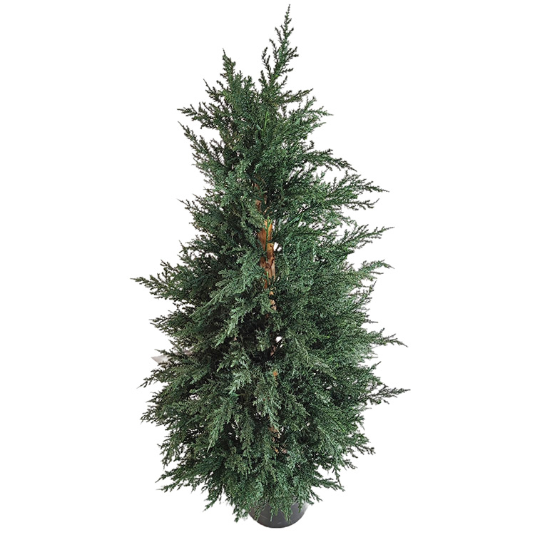 Leyland Indoor Mall Decoration Artificial Cypress Plants
