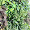 Bar Decoration Indoor Artificial Plant Wall