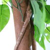 Mall Decoration Indoor Artificial Banyan Tree
