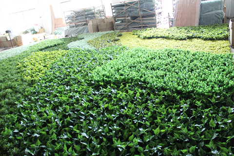 Ireland Mall Decoration Indoor Artificial Green Wall