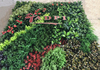 Philippines Clubhouse Decoration Artificial Green Wall