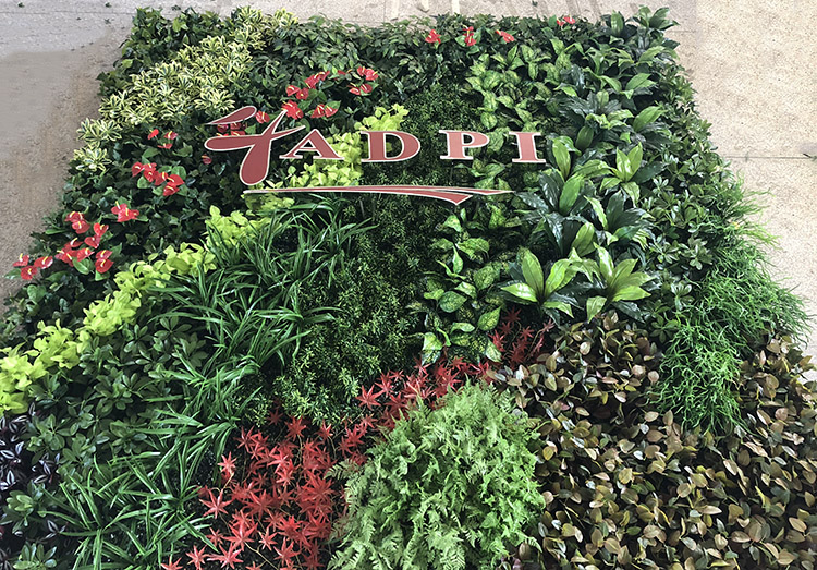 Philippines Clubhouse Decoration Artificial Green Wall