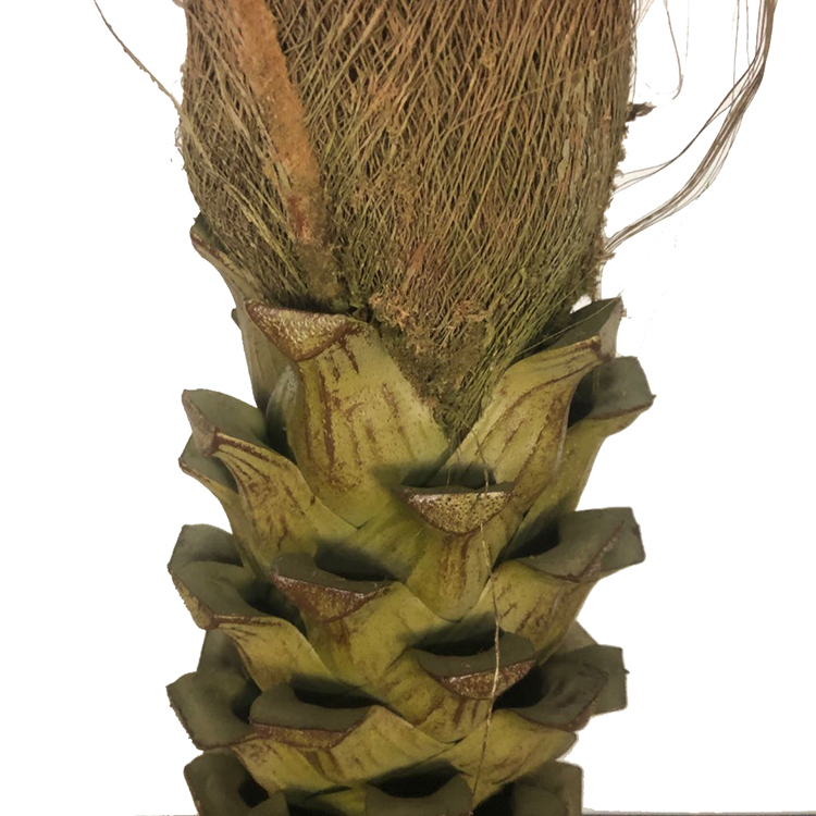 Hotel Decoration Artificial Washington Palm Tree