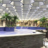 Hotel Decoration Outdoor Artificial Coconut Tree