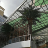 Hotel Decoration Outdoor Artificial Date Palm Tree