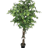 Australia Home Decoration Artificial Ficus Tree