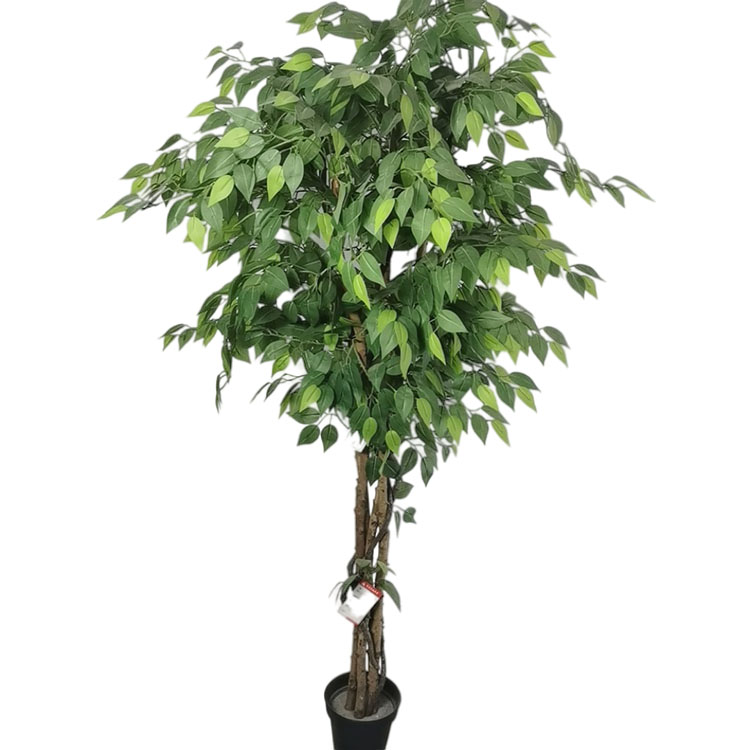 Australia Home Decoration Artificial Ficus Tree
