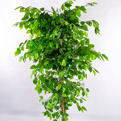 Bar Decoration Indoor Artificial Ficus Tree