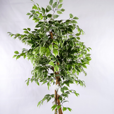 Office Decoration Indoor Artificial Ficus Tree