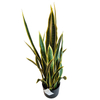 Clubhouse Decoration Indoor Artificial Agave