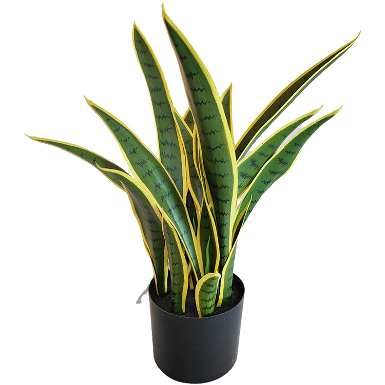 Canada Gardon Decoration Indoor Artificial Agave