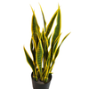 Mall Decoration Indoor Artificial Agave