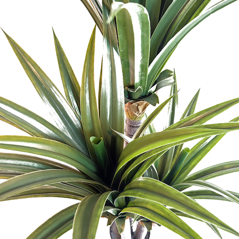 Bar Decoration Indoor Artificial Agave