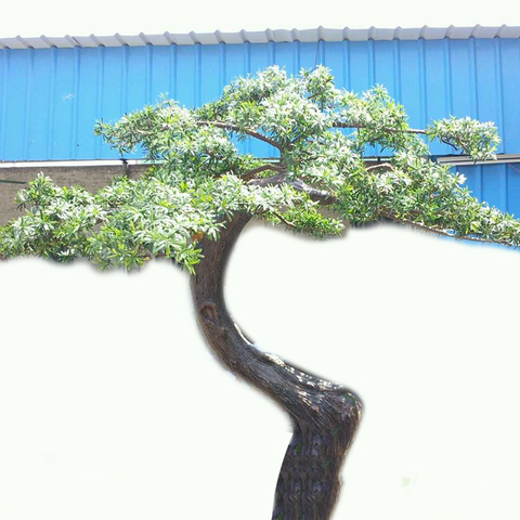 Park Decoration Fiberglass Trunk Artificial Pine Tree