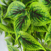 Real Estate Decoration Indoor Artificial Hanging Plant