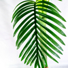 Singapore Gardon Decoration Artificial Areca Palm