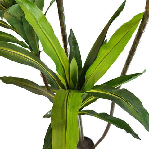 Thailand Hotel decoration indoor artificial Dracaena fragrans 
