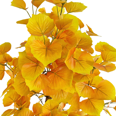 Singapore Gardon Decoration Artificial Populus Euphratica 