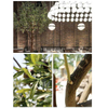 Manufacturer of China Artificial Olive Tree 