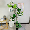 South Africa Office Decoration Indoor Artificial Fiddle Leaf Plants Tree