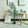 UK Indoor Mall Decoration Artificial Olive Tree 
