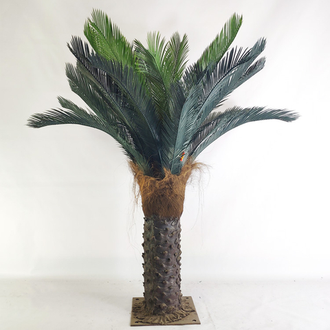 Tropical Regions of Oceania Artificial Sago Cycas