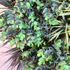 Bar Decoration Fireproof And UV Artificial Green Wall 