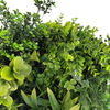 Clubhouse Decoration Indoor Artificial Plant Wall 
