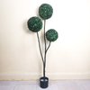 South Africa Office Decoration Indoor Artificial Boxwood Ball 