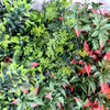 Fashion UV Fire Retardant Artificial Green Wall 