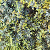 Australia Fireproof And UV Artificial Green Wall 