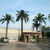 Water Park Decoration Outdoor Artificial Coconut Tree