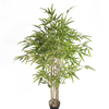 Canada Home Decoration Indoor Atficial Bamboo Tree 