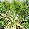Mall Decoration Indoor Artificial Plant Wall