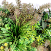 Bar Decoration Indoor Artificial Plant Wall