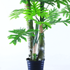 Hotel Decoration Indoor Artificial Philodendron