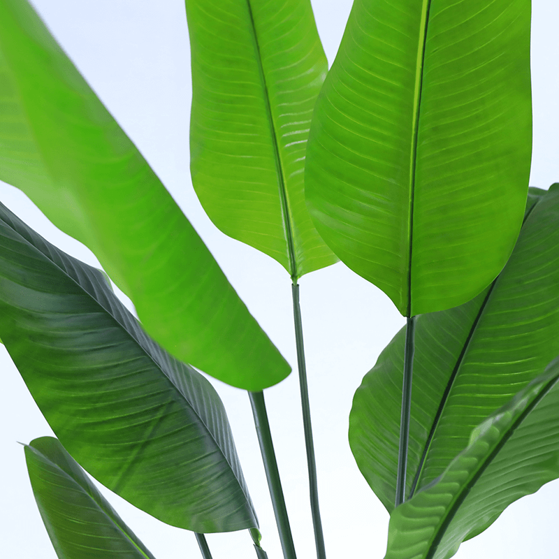 Mall decoration indoor Artificial Strelitziaceae