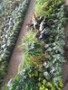 UK Office Decoration Indoor Artificial Green Wall
