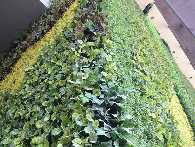 Canada Mall Decoration Artificial Green Wall