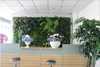 Canada Mall Decoration Artificial Green Wall