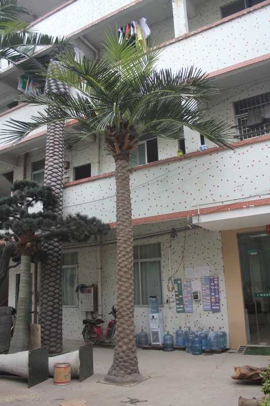 Hotel Decoration Outdoor Artificial Date Palm Tree